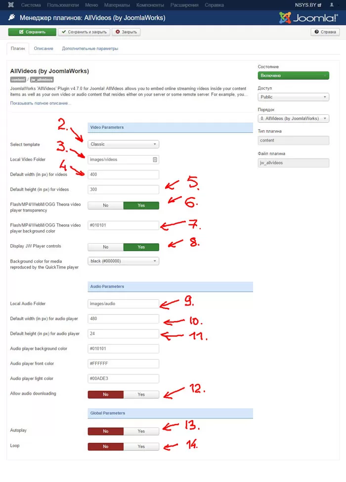 подробная инструкиця по настройке AllVideos plugin